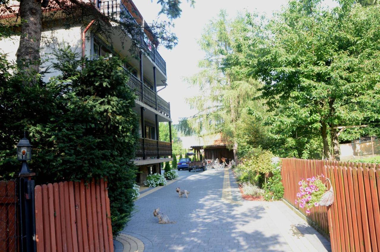 Willa Goscinny Prog Krościenko Buitenkant foto